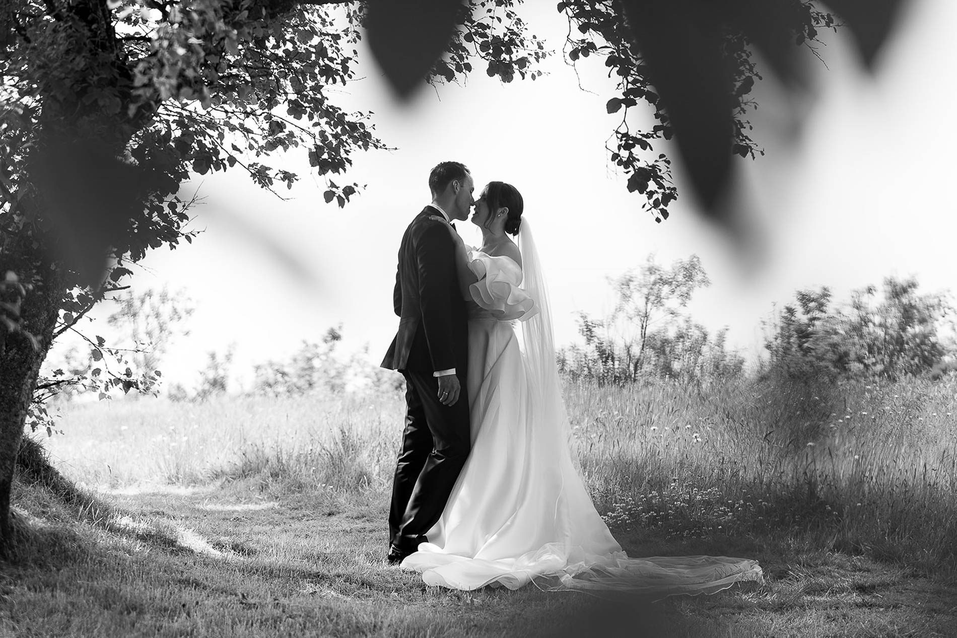 sofie & johannes
