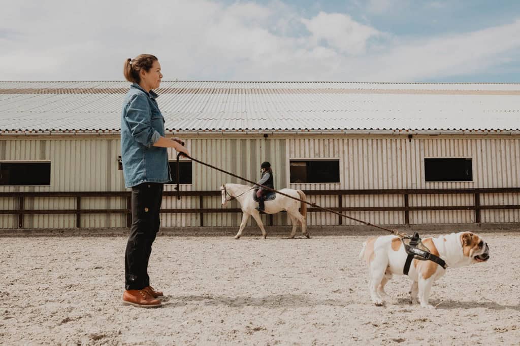 silje ein dag i livet