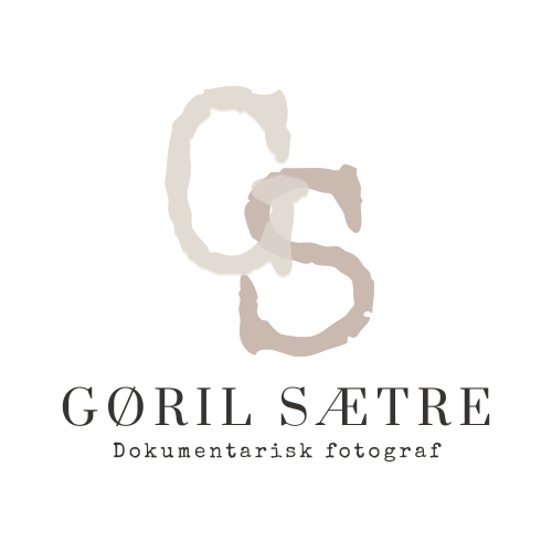 gs logo
