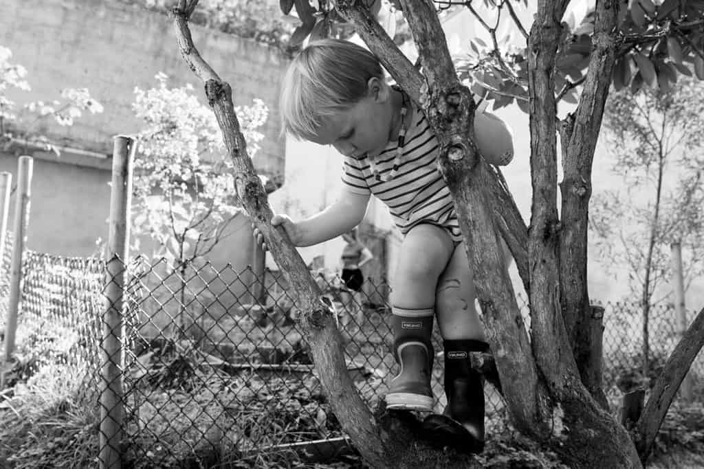 ein dag i livet hos vilde, jouni & magnus