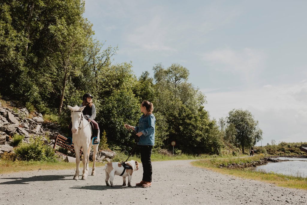 Activities on holiday-horse riding